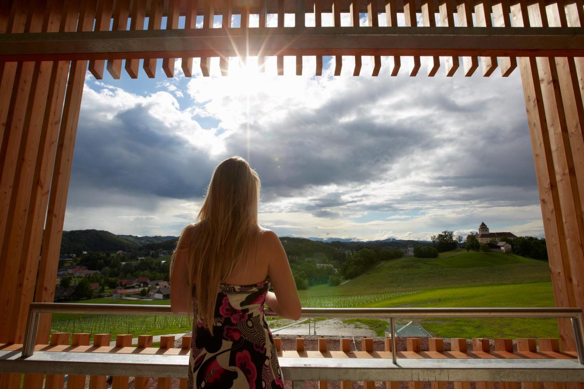 Loisium Wine & Spa Hotel Suedsteiermark Ehrenhausen Ngoại thất bức ảnh
