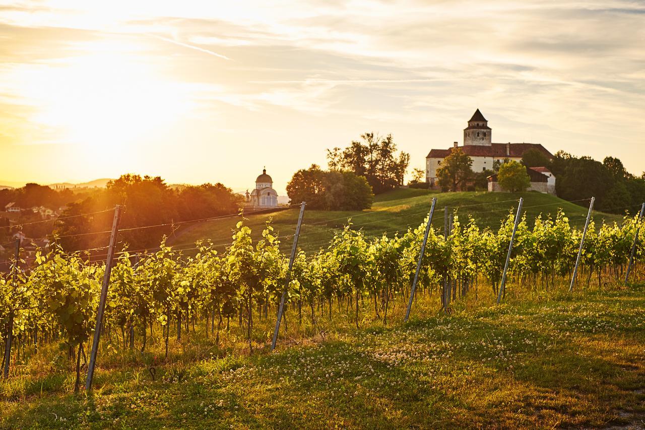 Loisium Wine & Spa Hotel Suedsteiermark Ehrenhausen Ngoại thất bức ảnh