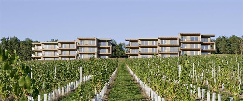Loisium Wine & Spa Hotel Suedsteiermark Ehrenhausen Ngoại thất bức ảnh
